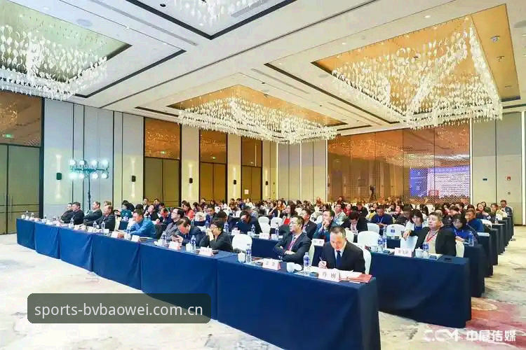 宝威APP实战体验：资深用户分享安全性与使用心得